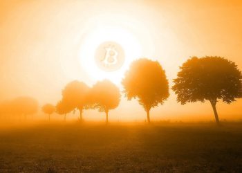 Базельский комитет считает, что биткоин может навредить банкам