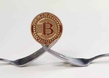 Опубликован код для возможного софтфорка биткойна