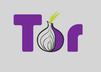 Tor Digital Privacy Project принимает пожертвования в криптовалюте
