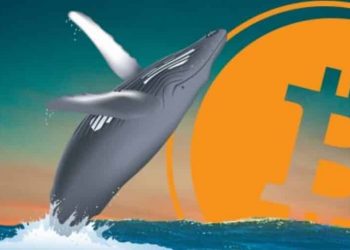 «Киты» накупили дешёвых биткойнов