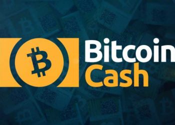 BCH «мертв», а BSV – «бесполезный щиткойн», — основатель Bitcoin.org и Bitcointalk.org