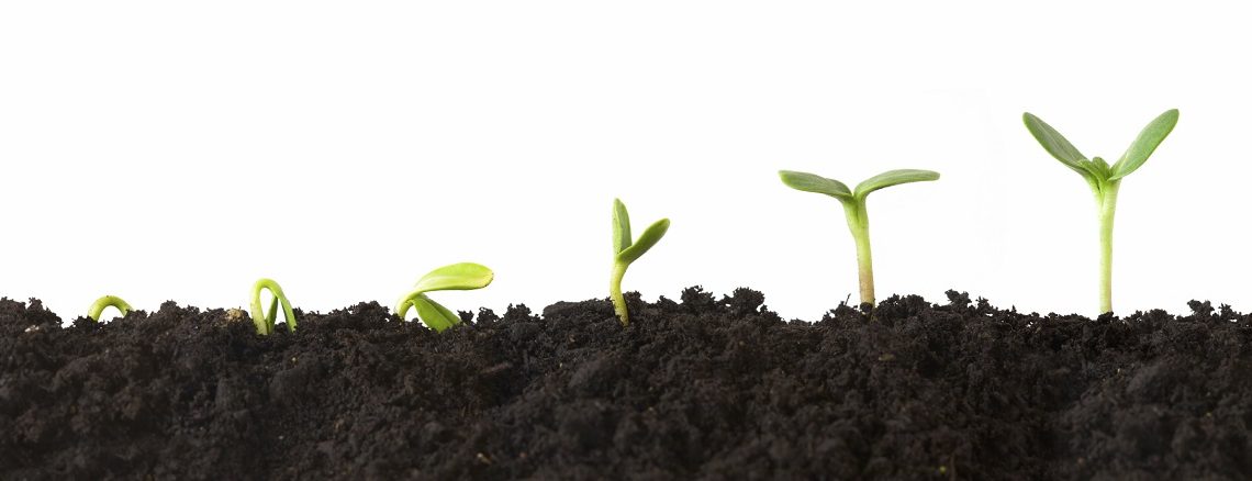 Рынок криптовалют «позеленел»: быки демонстрируют активность