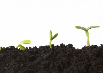 Рынок криптовалют «позеленел»: быки демонстрируют активность