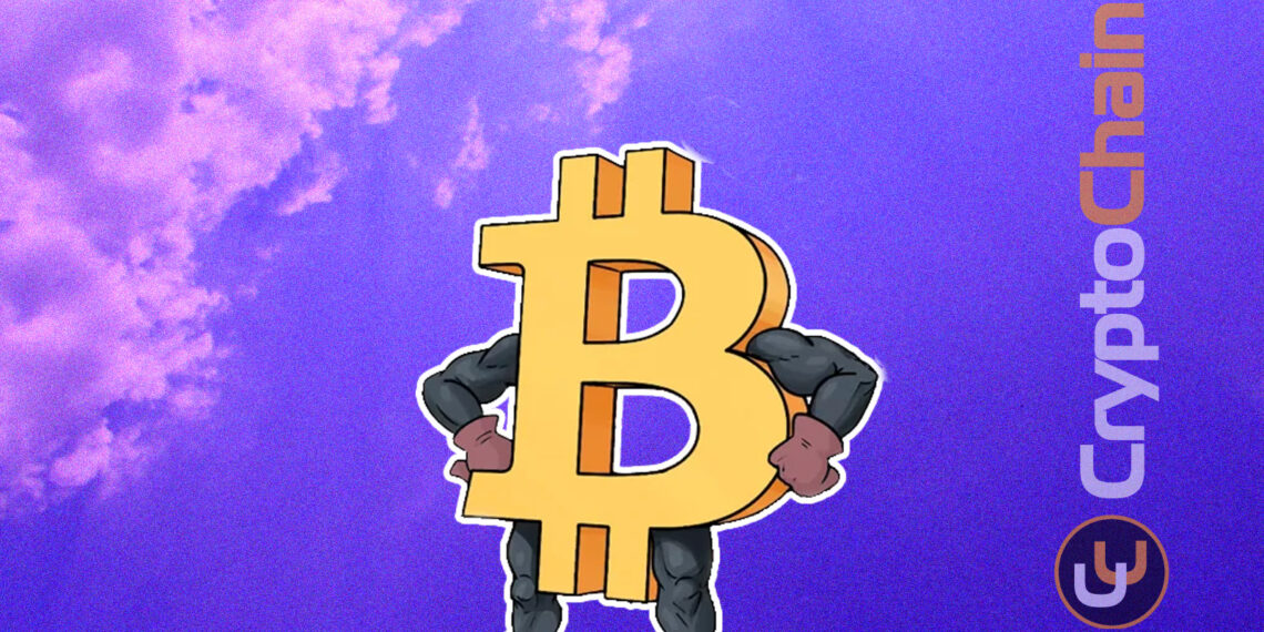 Бывший любитель GPU-майнинга нашёл у себя старую флешку с 1000 биткоинов