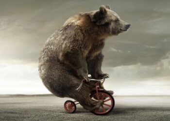 Медведи в предчувствии весны