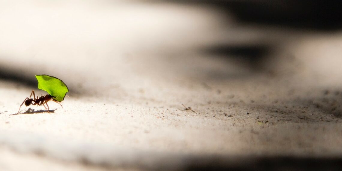 СМИ: В этом году майнинговая компания Bitmain заработала более $300 млн