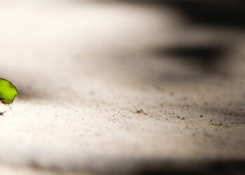 СМИ: В этом году майнинговая компания Bitmain заработала более $300 млн