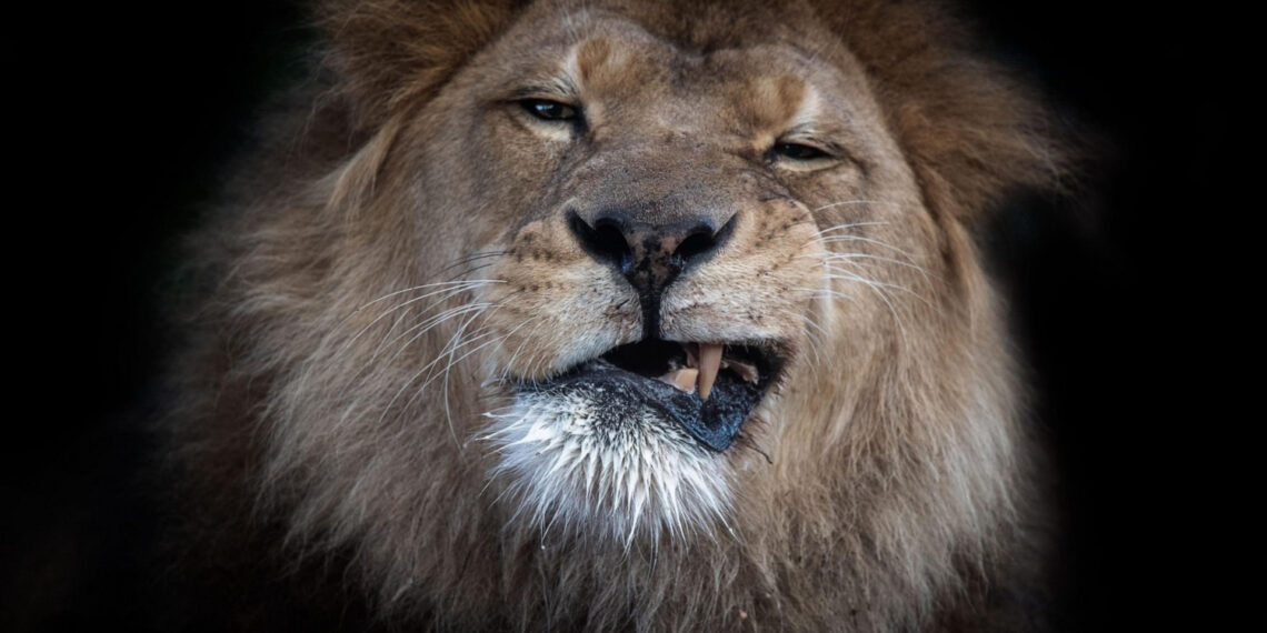 Рынок обрушился, богатые не пострадали