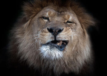 Рынок обрушился, богатые не пострадали