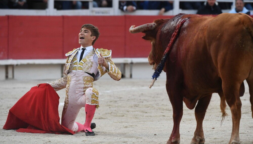 Снижение цены Bitcoin не означает медвежий рынок