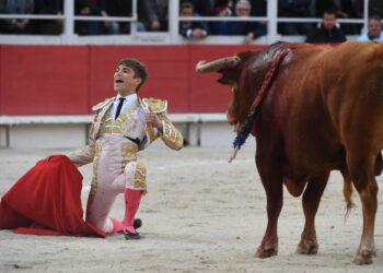 Снижение цены Bitcoin не означает медвежий рынок