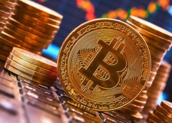 CCData: Биткоин к концу 2024 года достигнет нового максимума